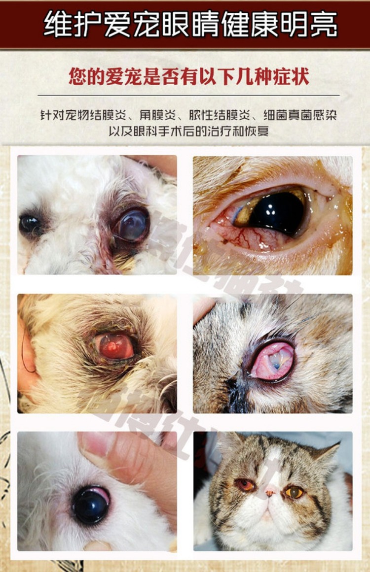 Mingmu lỏng pet chó mèo mũi thú cưng thuốc nhỏ mắt kết mạc viêm giác mạc herpes virus - Thuốc nhỏ mắt thuốc nhỏ mắt cho mắt cận