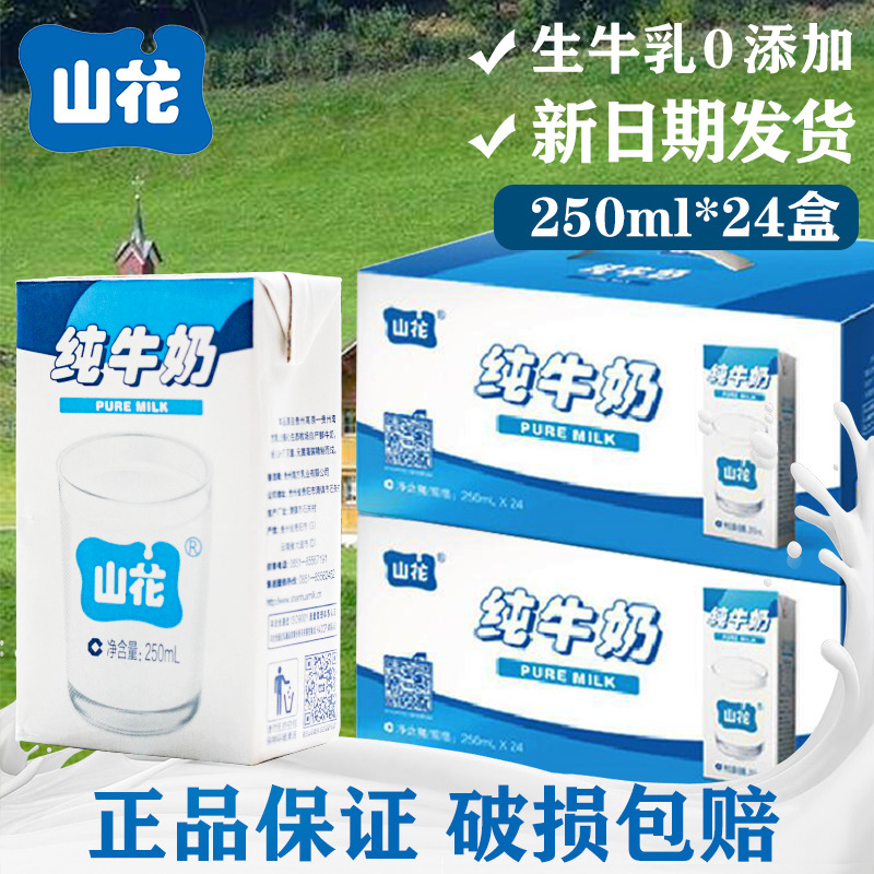 Small tree Guizhou specialty mountain flower pure milk children students pregnant women calcium supplement whole carton promotion 250mlX24 box