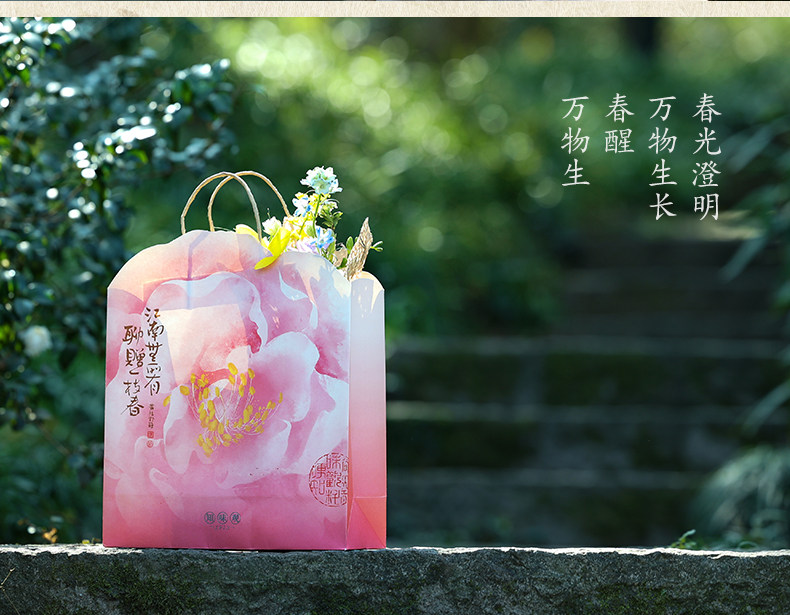 Auspicious Blessings Cultural Gift Packaging for Festivals