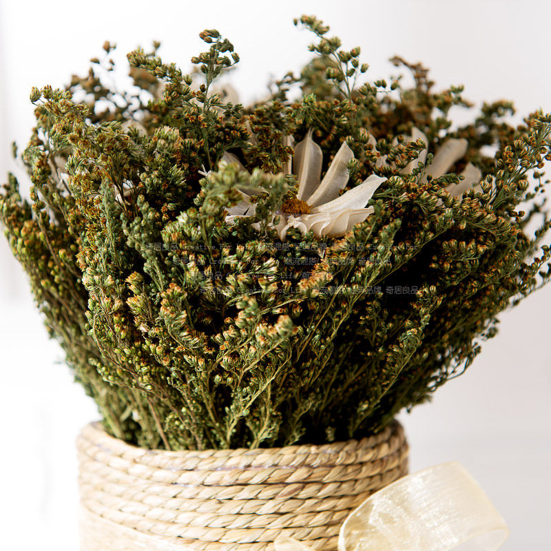 �����Ʒ�������ɻ�ZH005