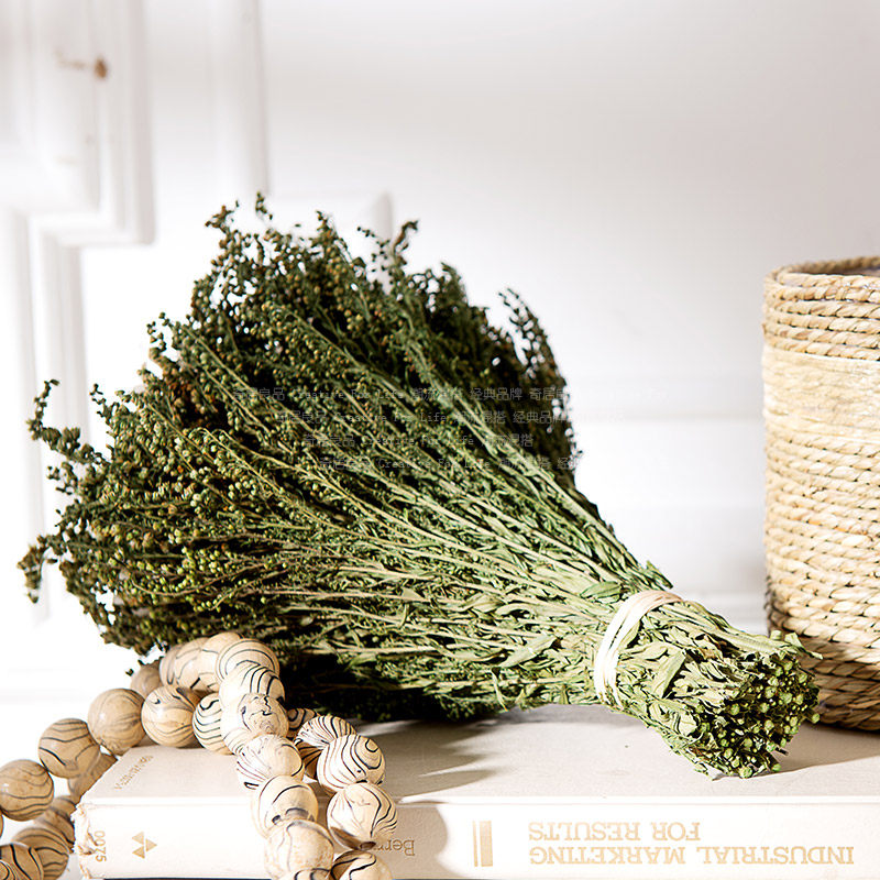 �����Ʒ�������ɻ�ZH005