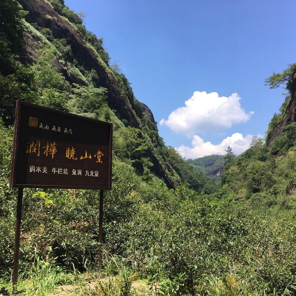 (Xiaoshantang)Wuyi Mountain rock tea Niulankeng Cinnamon Zhengyan tea Oolong tea single brew 8 5g experience pack