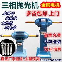 Polishing machine 380V three-phase vertical polishing machine single-phase industrial Vertical Grinding Machine tip splint speed regulation and explosion-proof
