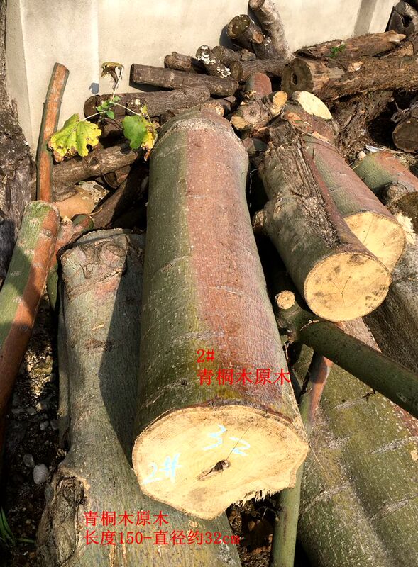 Green Paulownia Wood Logs, Chinese Paulownia Wood, Wild Green Paulownia Wood for Luthier Materials, Green Paulownia Old Wood Boards, Guqin Materials Green Paulownia Wood Logs, Chinese Paulownia Wood, Wild Green Paulownia Wood for Luthier Materials, Green Paulownia Old Wood Boards, Guqin Materials