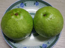 Hainan fruit fresh guava 1kg to send chili salt crispy guava white heart crisp sweet refreshing casual snacks bulk
