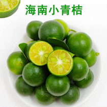 Hainan green kumquat 500g small green orange kumquat fresh fruit vitamin C Wenchang chicken characteristic hot pot dip cold drink