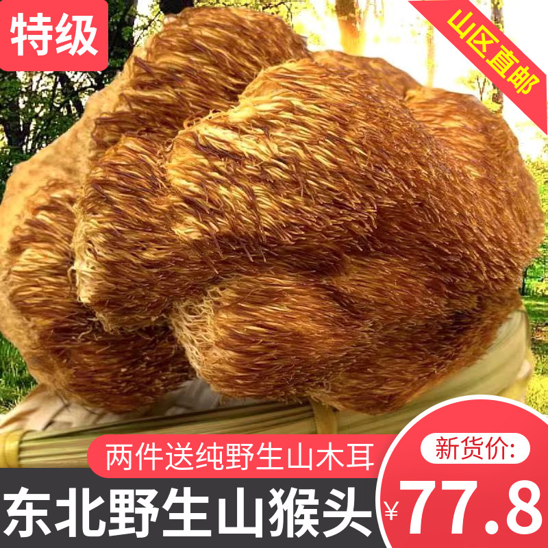 Lion's Head Dried Goods Northeast Specialty Wild Mountain Monkey Head Heilongjiang New Goods Sulfur-free Edible Stomach Bacteria 500g