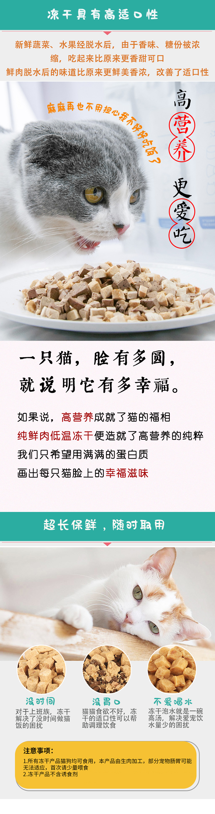 Pet vào một con chó mèo 100g thức ăn khô đông lạnh cho mèo thức ăn sống thịt gà nguyên chất hạt mèo catsrang