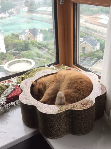 Кошка кошки гнездо гнездо -когти -типа -устойчивые к гофрированной бумажной швафу для кошки.