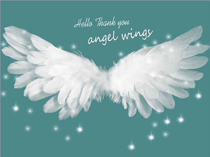 Exploits new yy live main cast background cloth 3D Interior personality Custom wings Men and women Bedrooms Atmospheric wallpaper