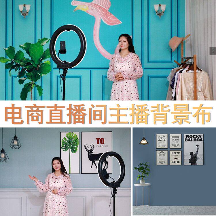 New network red jitter live background fabric 3D stereo HD simple anchor background cloth live broadcast photo background wall