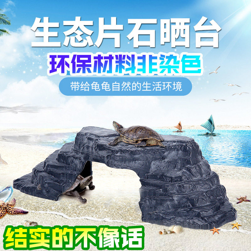 Natural rock reptile shelter tower turtle sun terminal overlarge sun background creeping stairs do not color