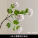 4 Binglu Purple Hydrangea отдельные ветви