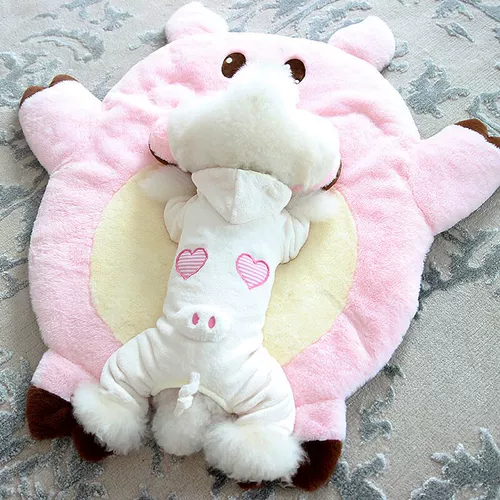 Nim Wilder Price Spring и осенью щенка с четырьмя грудью Тедди Бибели маленькие домашние домашние животные весна и осенние преобразования