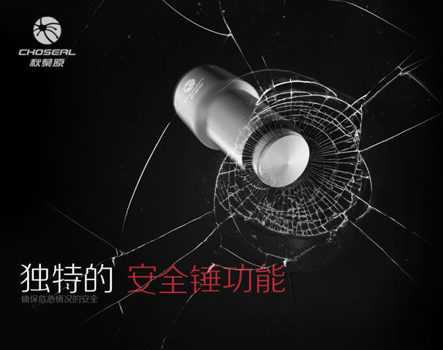 chargeur CHOSEAL 2A - Ref 1299696 Image 12