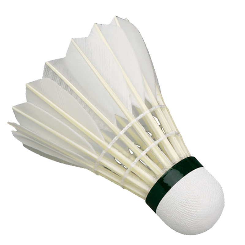 Shuttle Racket Badminton