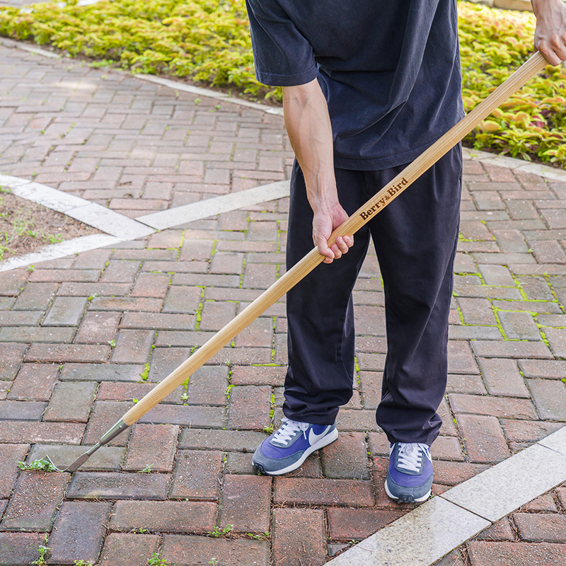 Berrybird Right-Angle Gap Weeding Tool for Home Garden, Brick Seam, Wall Corner, and Weed Cleaning, Stainless Steel