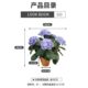 Nordic Artificial Hydrangea Plant Small Potted Plant ins Pastoral French-Style Ornament Decoration Korean-Style with Red Clay Flower Pot