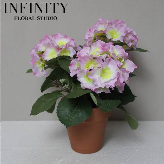 Nordic Artificial Hydrangea Plant Potted Plant ins Pastoral French-Style Ornament Decoration Korean-Style with Red Clay Flower Pot