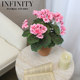 Nordic Artificial Geranium Flower with Red Clay Pot Small Potted Plant French Pastoral Natural Style Home Decoration Ornament
