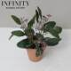 Simulated Eucalyptus Potted Plant with Red Pottery Flower Pot French Pastoral Style ins Scandinavian Christmas Decoration Home Furnishings