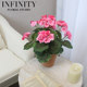 Nordic Artificial Geranium Flower with Red Clay Pot Small Potted Plant French Pastoral Natural Style Home Decoration Ornament