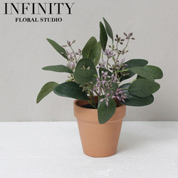 Simulated Eucalyptus Potted Plant with Red Pottery Flower Pot French Pastoral Style ins Scandinavian Christmas Decoration Home Furnishings