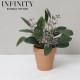 Simulated Eucalyptus Potted Plant with Red Pottery Flower Pot French Pastoral Style ins Scandinavian Christmas Decoration Home Furnishings