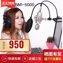 ISK BM-5000 condenser microphone Professional computer desktop wired recording large diaphragm hanging microphone anchor microphone