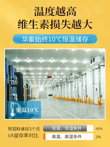 Vitality Золотая витаминная микроофлексическая электронная электролитическая многоразмерная куриная овечь