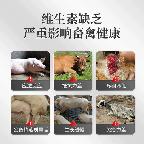 Многомерные превосходные питательные звери для витаминных электролитических многомерных быстрорастворимые свинины, крупный рогатый скот, курица овец для черепах кролика водные птицы