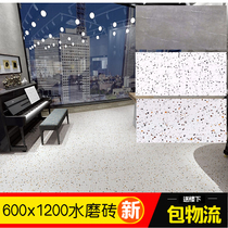 Net red large particles goose egg terrazzo tile 600x1200 living room dining room clothing store Engineering wall tiles