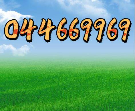 106 face value Qingdao escort satellite card 69969 69968 Djibouti COSCO 044669969