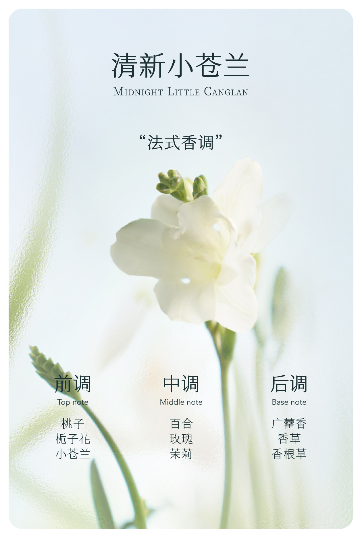 【中國直郵】 半畝花田 洗髮精 控油蓬鬆去屑止癢柔順改善乾枯毛躁 控油洗髮精 333g