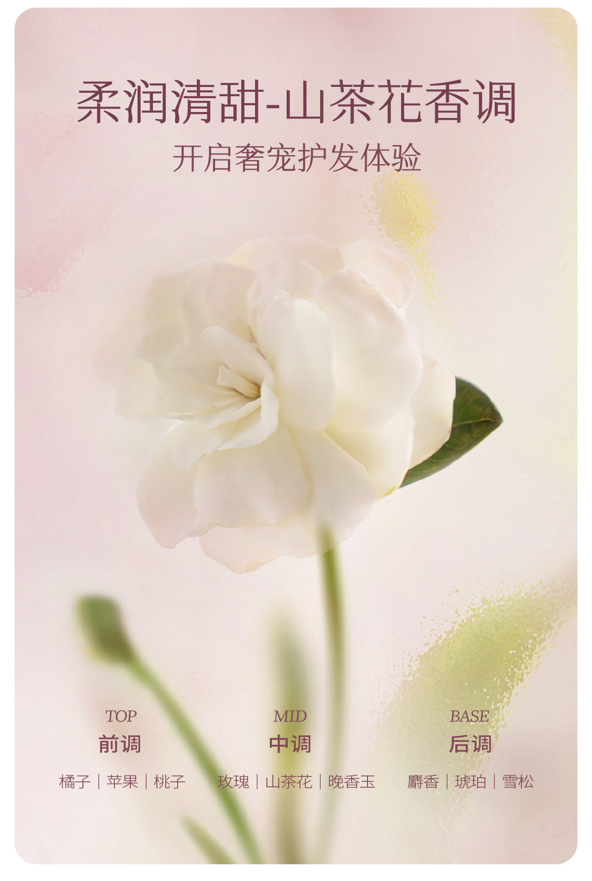 【中國直郵】 半畝花田 洗髮精 控油蓬鬆去屑止癢柔順改善乾枯毛躁 控油洗髮精 333g