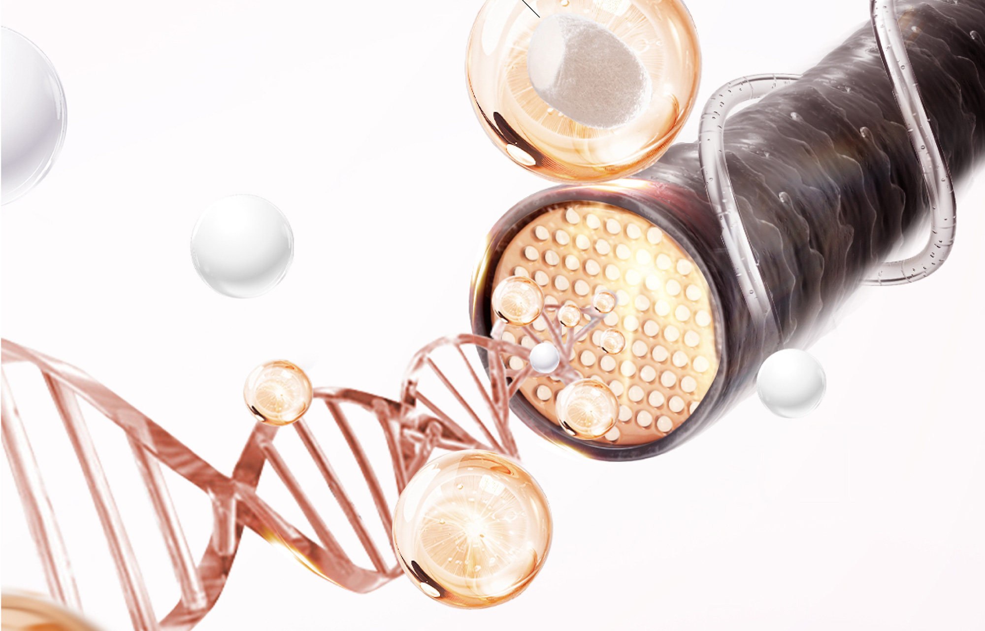 【中国直邮】 半亩花田 玫瑰护发精油 卷发柔顺滑干枯毛躁修护持久留香 50ml