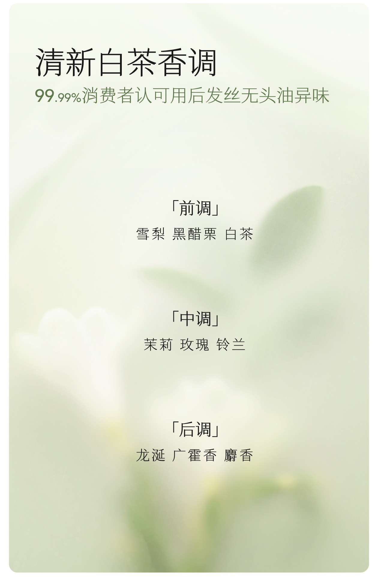 【中國直郵】 半畝花田 洗髮精 控油蓬鬆去屑止癢柔順改善乾枯毛躁 控油洗髮精 333g