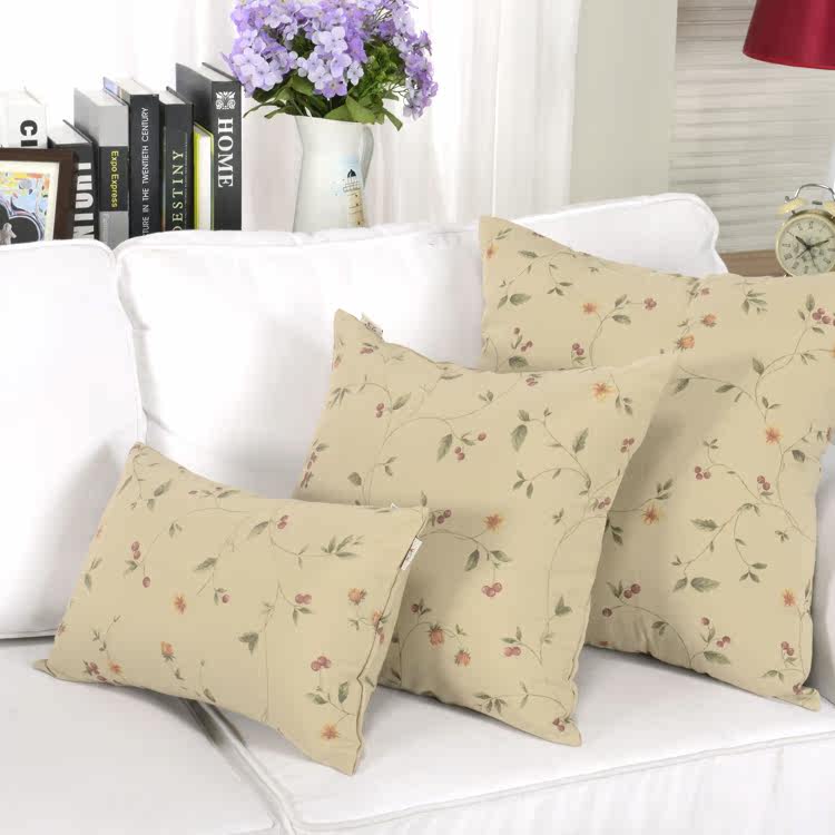 ��ĭ��������kd-yingtao-002