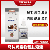 Ma Tou brand pet skin solution ivermectin scabies pet dog in vitro hair removal antipruritic skin medicine