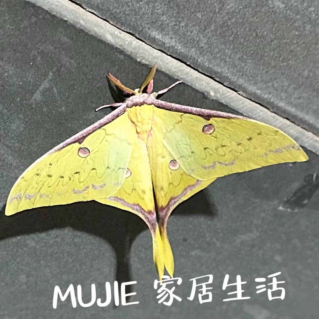MUJIE 家居生活
