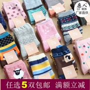 Deer đích thực 3003 cotton kháng khuẩn mùa xuân và mùa thu mùa đông của phụ nữ trong ống phiên bản Hàn Quốc của sự thoải mái và mềm mại hoang dã