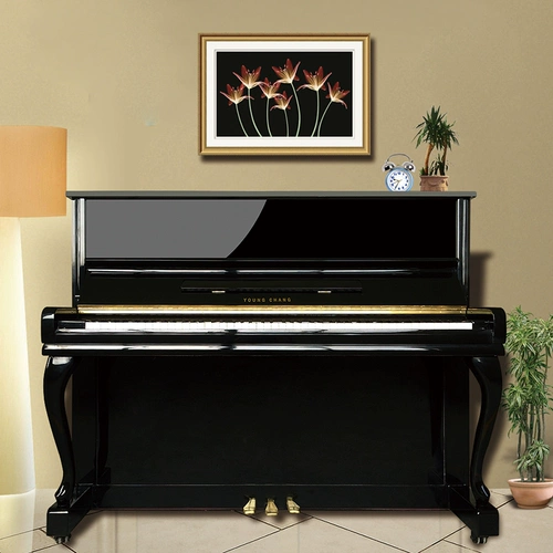 Импортное пианино, профессиональная практика для начинающих, в корейском стиле, обучение