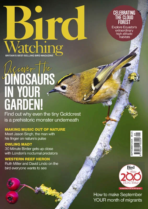 Bird Watching UK - 04.2026