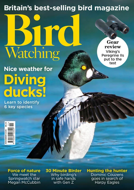 Bird Watching UK - 04.2026