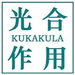光合作用 土壤植材园艺