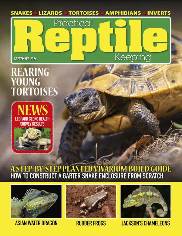 Practical Reptile Keeping - 03.2026