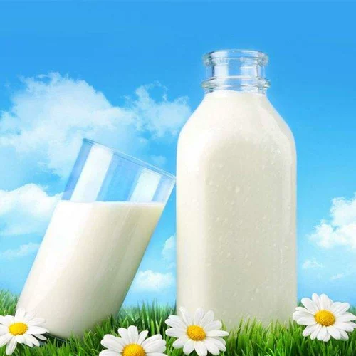 Shanhua Pure Milk Children Студент кальций для завтрака завтрак из чистого молока 250 мл*24 коробки экологического молока свежего молока Экологическое молоко