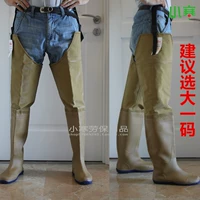 Хуасулу сгущенная желтая мягкая плоская подошва пара саженцев 80 см