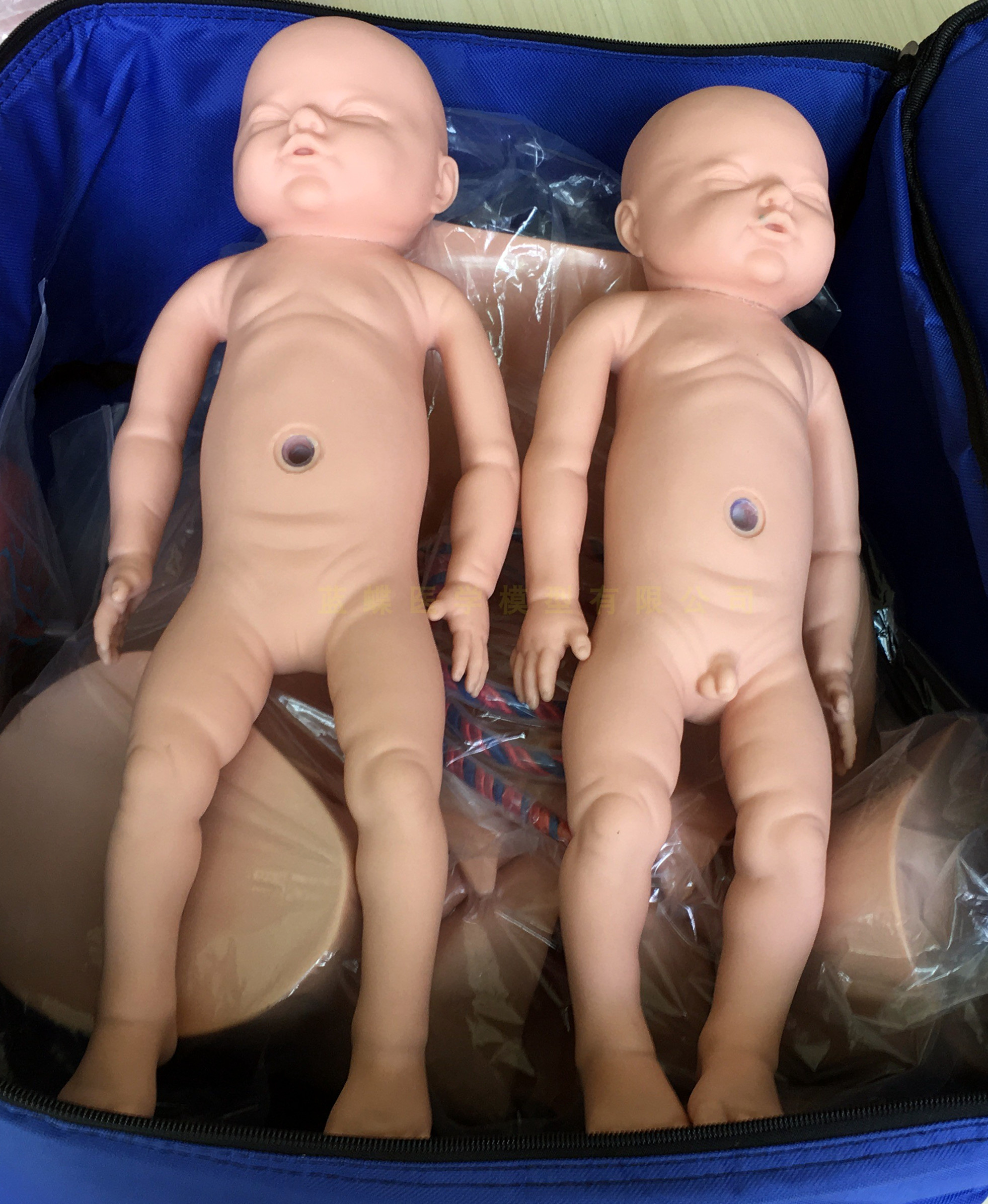 Childbirth Model Midwifery Model Doula Model Cervical Model Holley Doula Tool