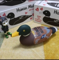 Зеленая голова коричневая+доставка в картонной упаковке